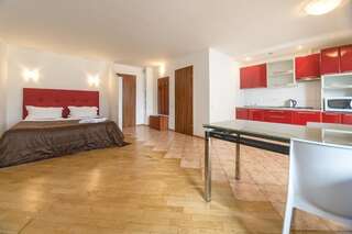 Апарт-отели Partner Guest House Киев Просторные апартаменты с открытой планировкой с видом на улицу-2
