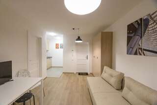 Апарт-отели Partner Guest House Киев Современные тихие апартаменты с 1 спальней на верхнем этаже-5