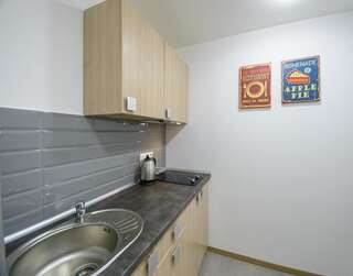 Апарт-отели Partner Guest House Киев Современные тихие апартаменты с 1 спальней на верхнем этаже-10