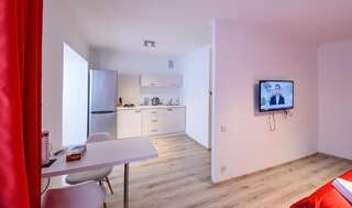 Апарт-отели Partner Guest House Киев Просторные апартаменты с открытой планировкой с балконом-5